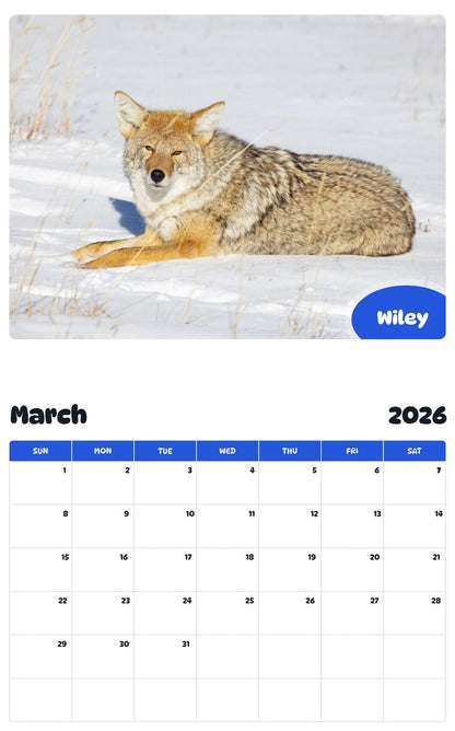 November 2025 - October 2026 Wiley - Pawidols Pet Calendar