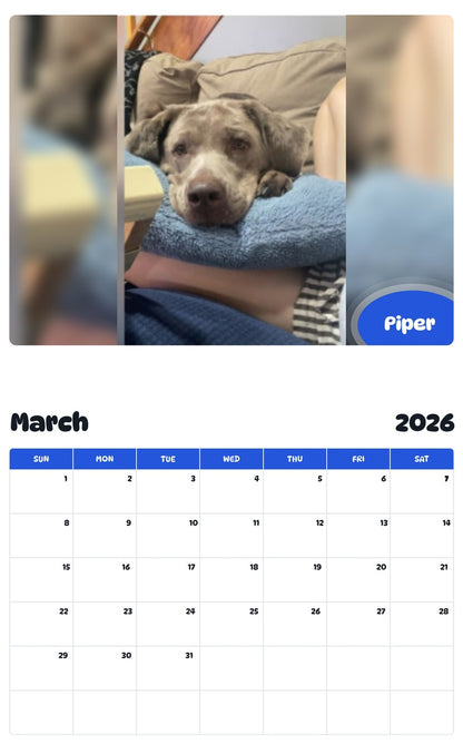 November 2025 - October 2026 Piper - Pawidols Pet Calendar