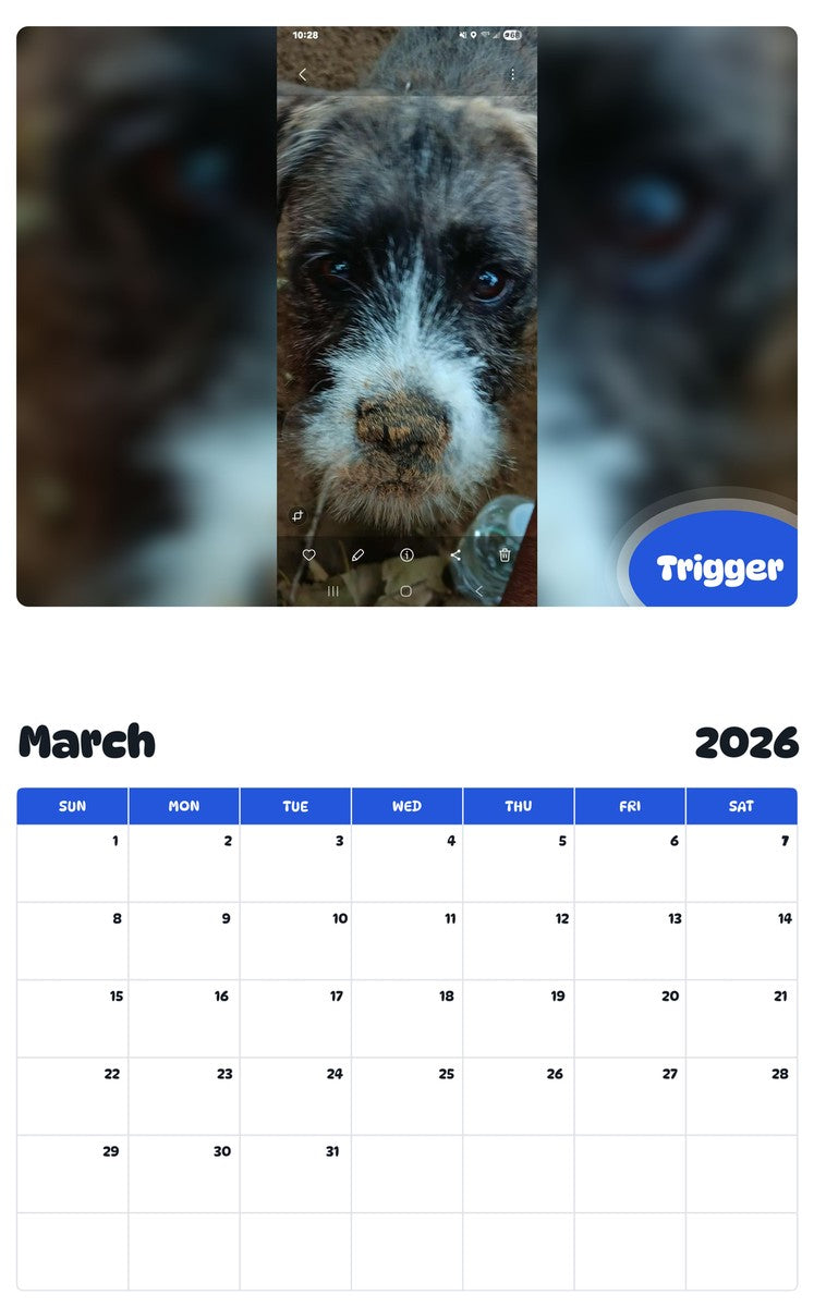 November 2025 - October 2026 Trigger - Pawidols Pet Calendar