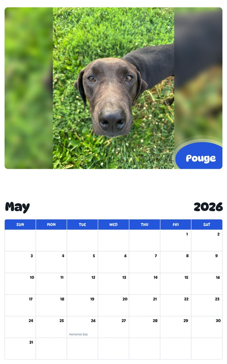 2026 - 2027 Pouge - Pawidols Pet Calendar