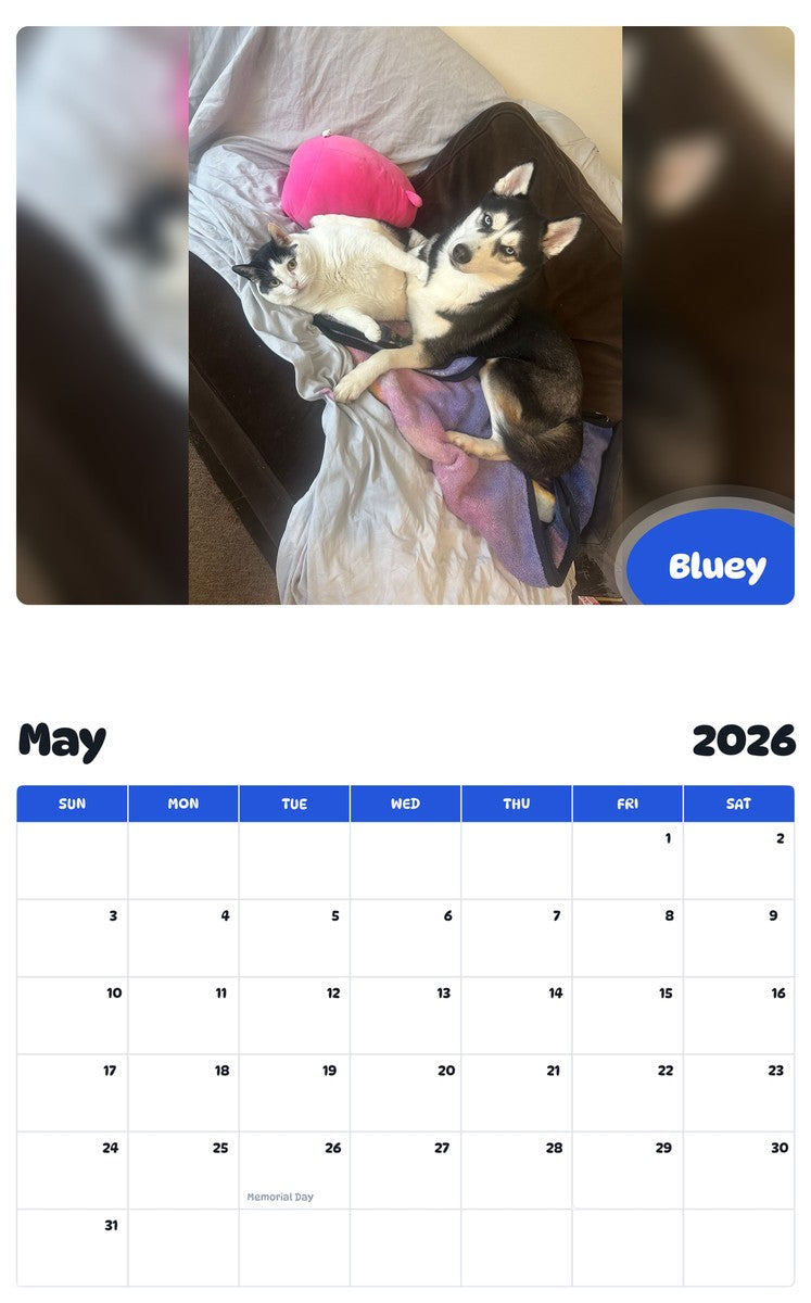 2026 - 2027 Bluey - Pawidols Pet Calendar
