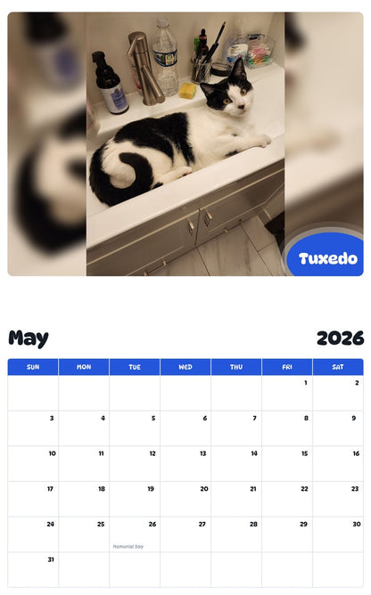 2026 - 2027 Tuxedo - Pawidols Pet Calendar