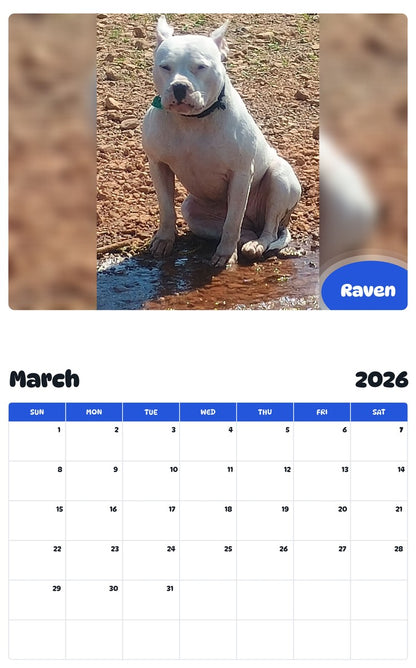November 2025 - October 2026 Raven - Pawidols Pet Calendar