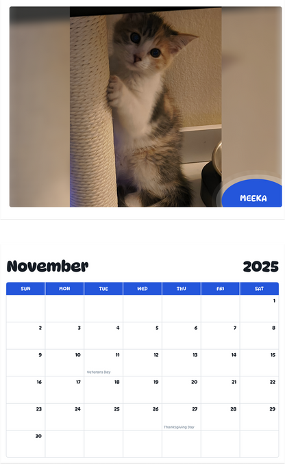 July 2025 - June 2026 Meeka - Pawidols Pet Calendar