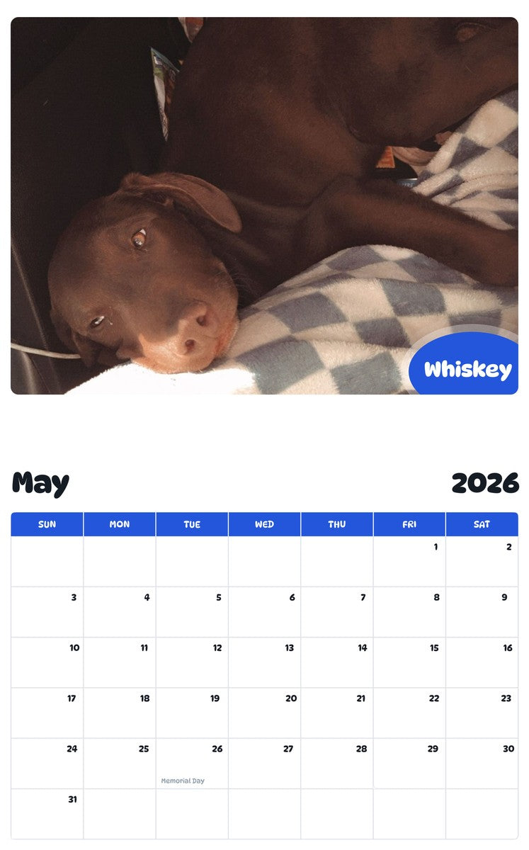 2026 - 2027 Whiskey - Pawidols Pet Calendar