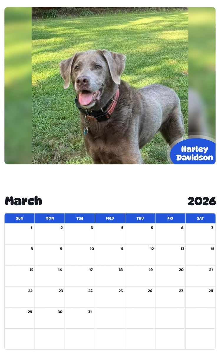 November 2025 - October 2026 Harley Davidson - Pawidols Pet Calendar