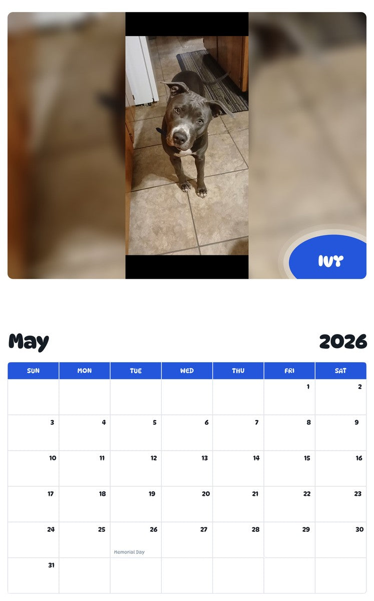 2026 - 2027 IVY - Pawidols Pet Calendar
