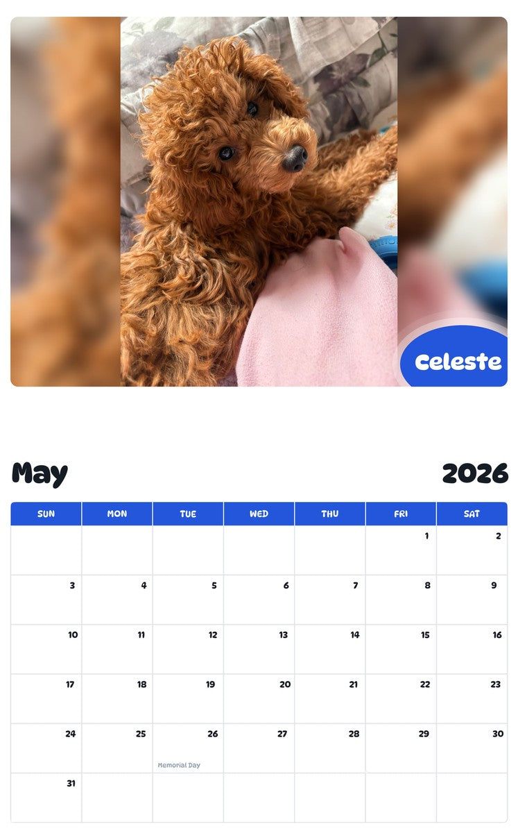 2026 - 2027 Celeste - Pawidols Pet Calendar