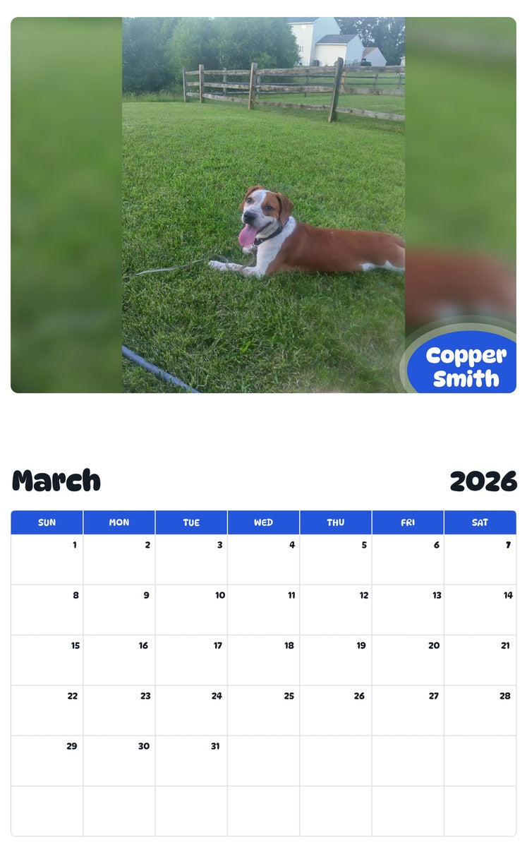 November 2025 - October 2026 Copper Smith - Pawidols Pet Calendar