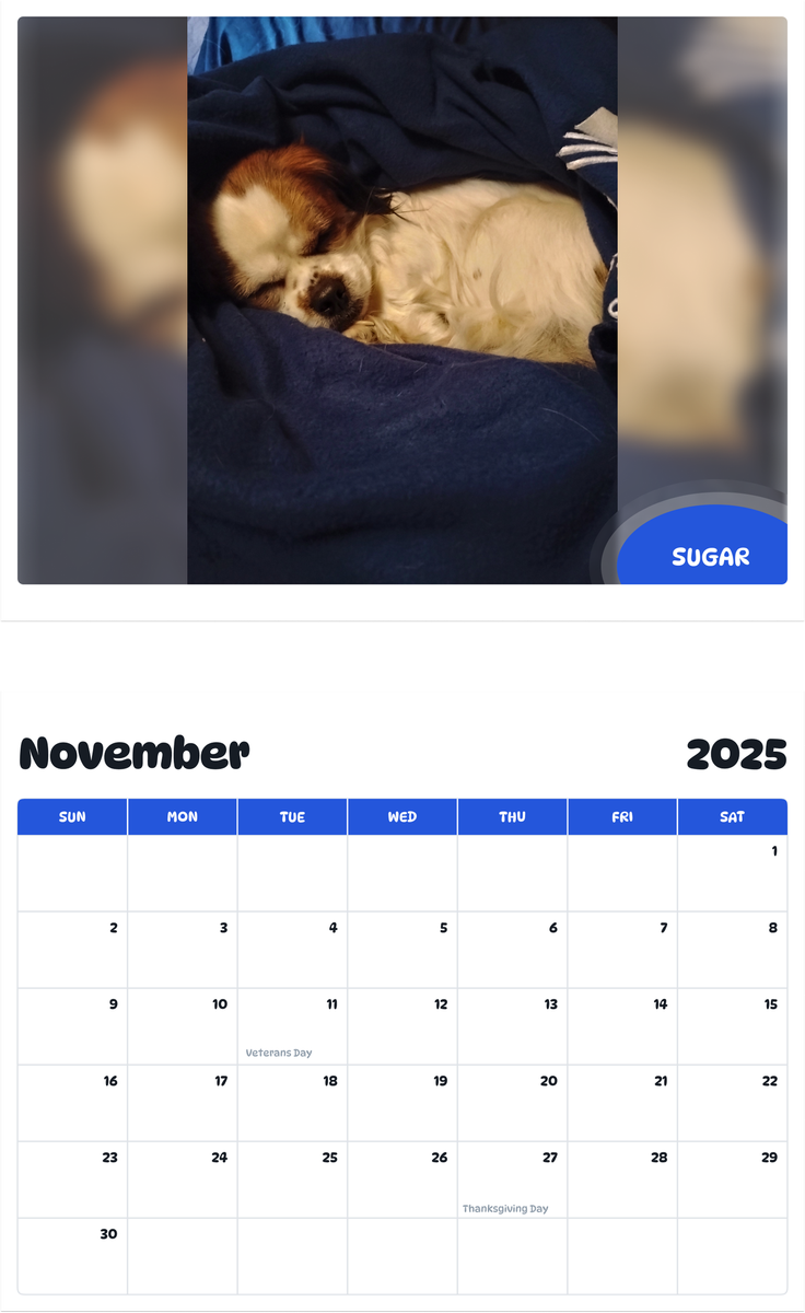 July 2025 - June 2026 Sugar - Pawidols Pet Calendar