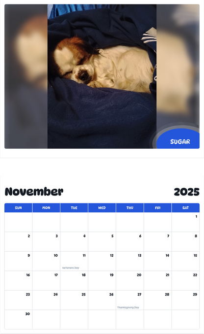July 2025 - June 2026 Sugar - Pawidols Pet Calendar