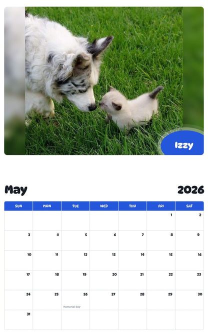 2026 - 2027 Izzy - Pawidols Pet Calendar