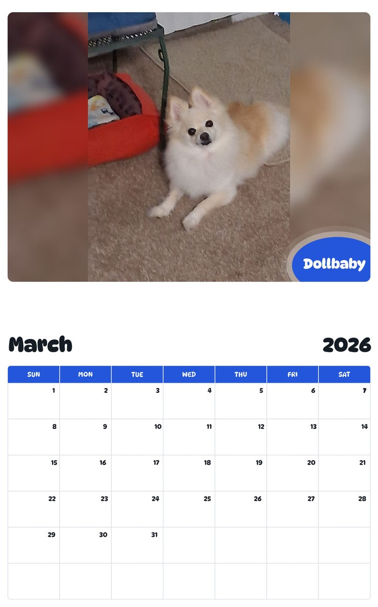 November 2025 - October 2026 Dollbaby - Pawidols Pet Calendar