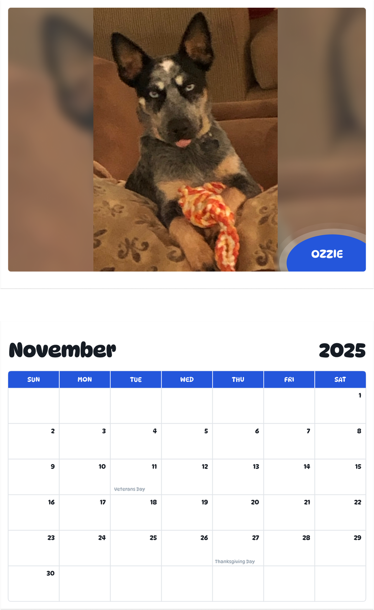 July 2025 - June 2026 Ozzie - Pawidols Pet Calendar