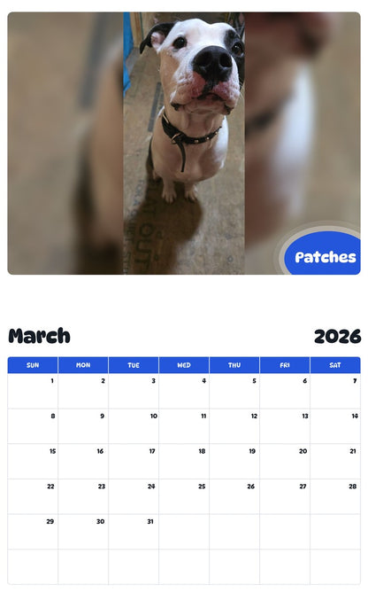 November 2025 - October 2026 Patches - Pawidols Pet Calendar