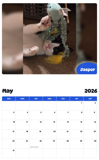 2026 - 2027 Jasper - Pawidols Pet Calendar