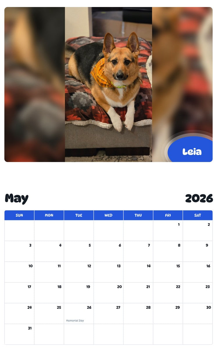 2026 - 2027 Leia - Pawidols Pet Calendar