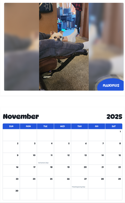 July 2025 - June 2026 Maximus - Pawidols Pet Calendar