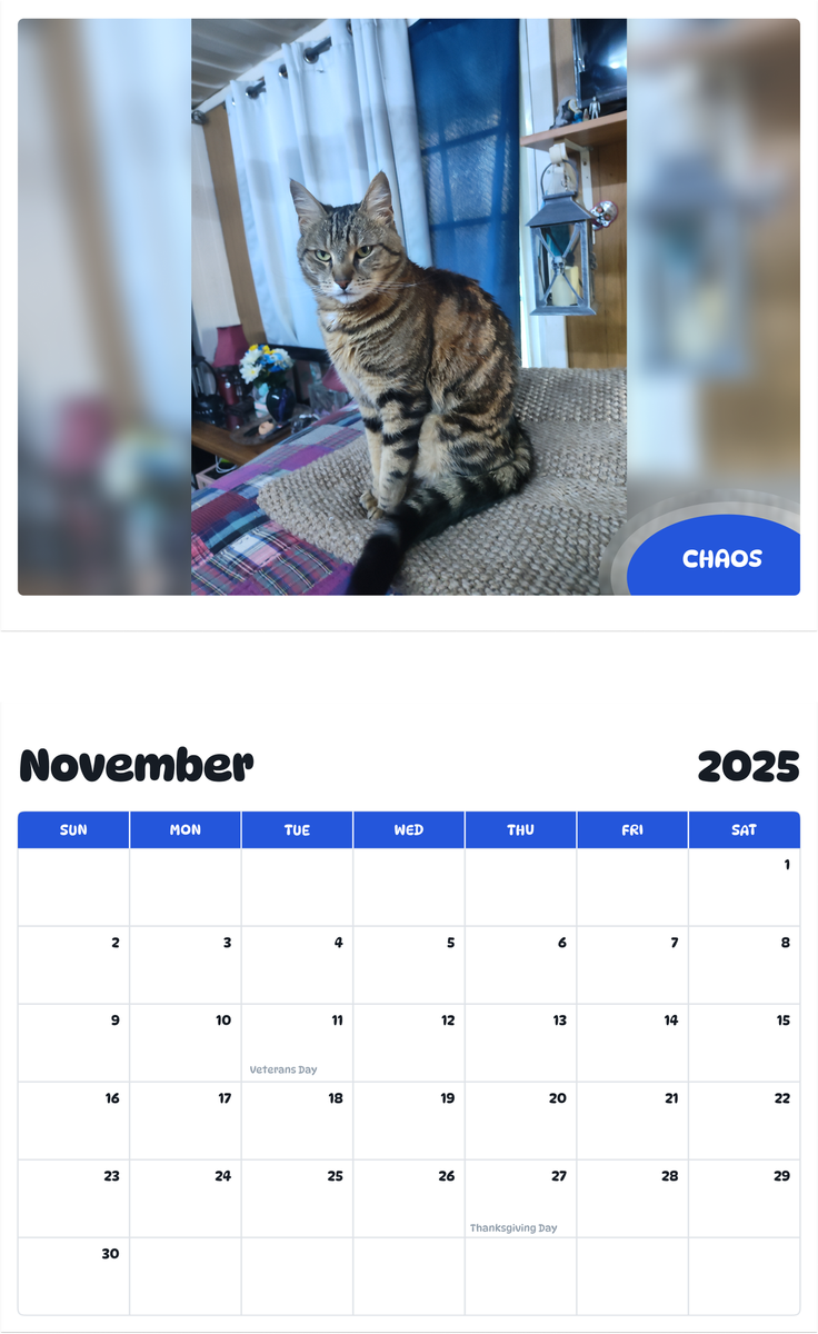 July 2025 - June 2026 Chaos - Pawidols Pet Calendar