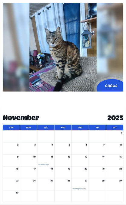 July 2025 - June 2026 Chaos - Pawidols Pet Calendar