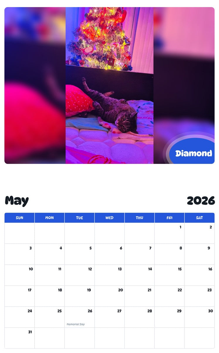 2026 - 2027 Diamond - Pawidols Pet Calendar