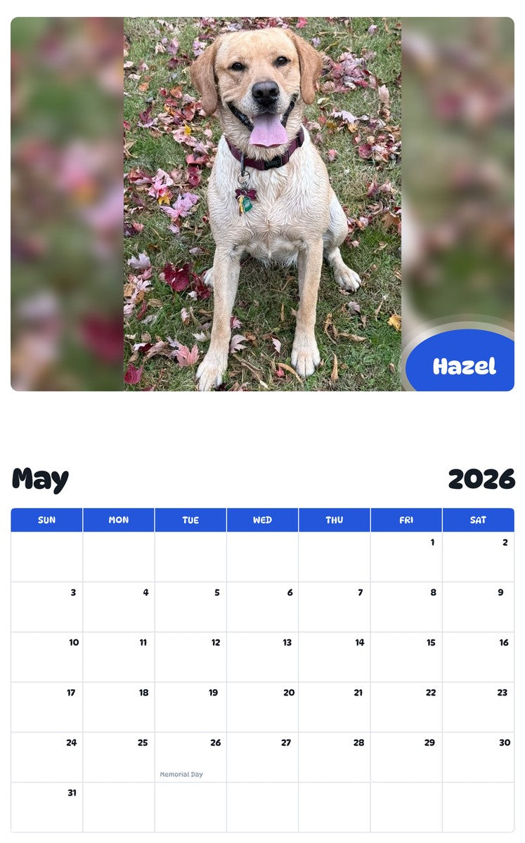 2026 - 2027 Hazel - Pawidols Pet Calendar