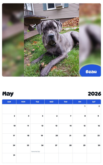 2026 - 2027 Beau - Pawidols Pet Calendar