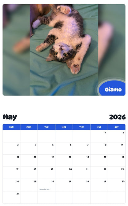 2026 - 2027 Gizmo - Pawidols Pet Calendar