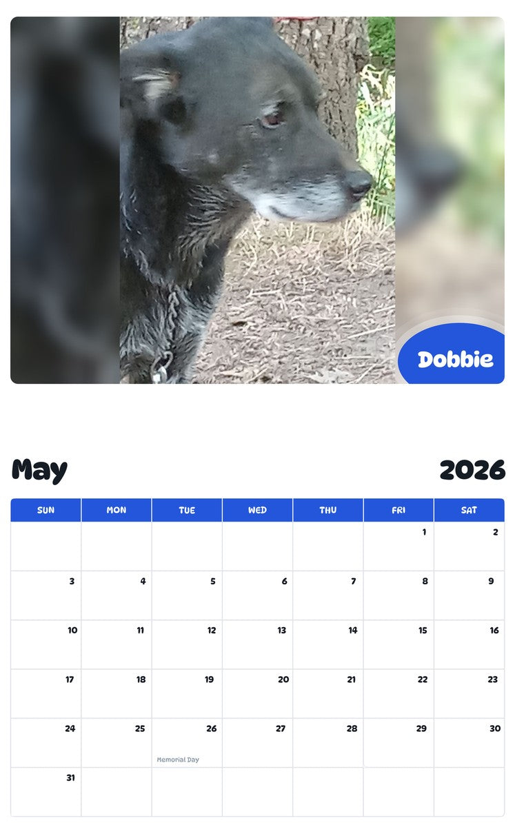 2026 - 2027 Dobbie - Pawidols Pet Calendar