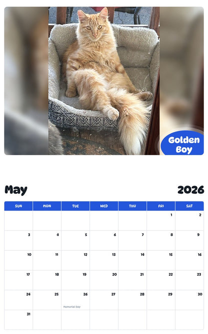 2026 - 2027 Golden Boy - Pawidols Pet Calendar