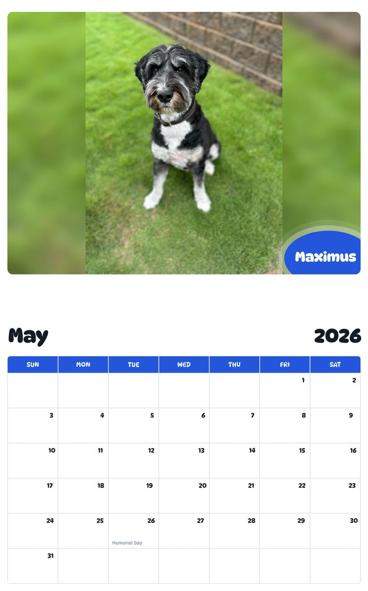 2026 - 2027 Maximus - Pawidols Pet Calendar