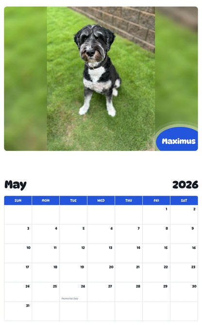 2026 - 2027 Maximus - Pawidols Pet Calendar