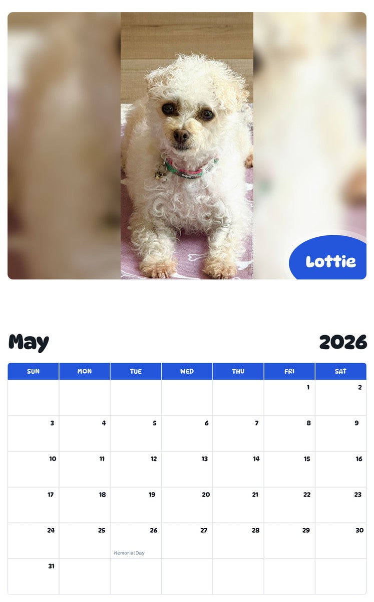 2026 - 2027 Lottie - Pawidols Pet Calendar