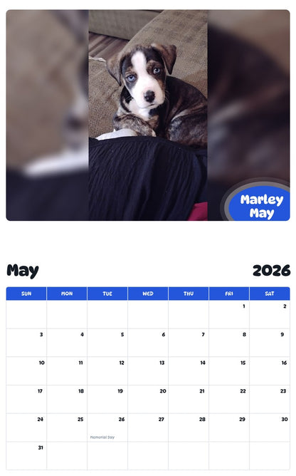 2026 - 2027 Marley May - Pawidols Pet Calendar