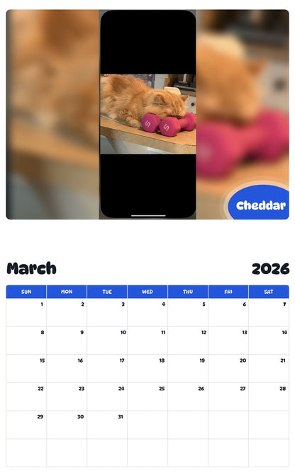 November 2025 - October 2026 Cheddar - Pawidols Pet Calendar