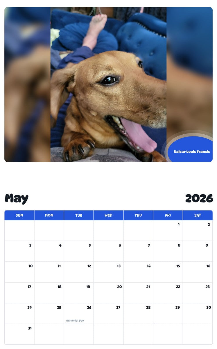 2026 - 2027 Kaiser Louis Francis - Pawidols Pet Calendar