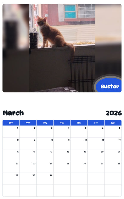 November 2025 - October 2026 Buster - Pawidols Pet Calendar