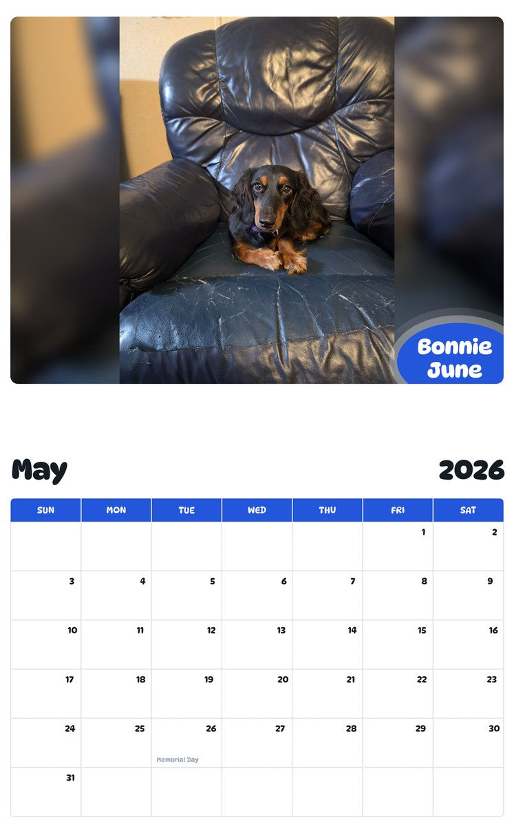 2026 - 2027 Bonnie June - Pawidols Pet Calendar