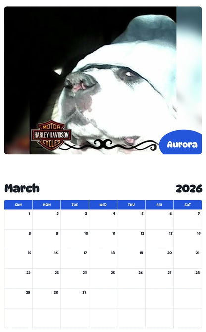 November 2025 - October 2026 Aurora - Pawidols Pet Calendar