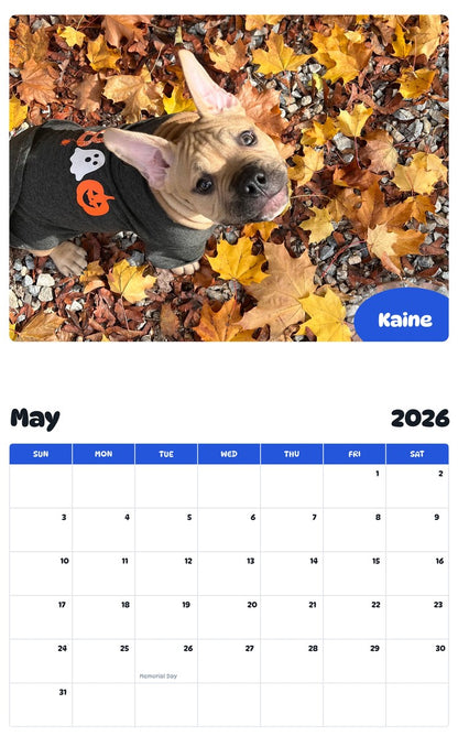 2026 - 2027 Kaine - Pawidols Pet Calendar