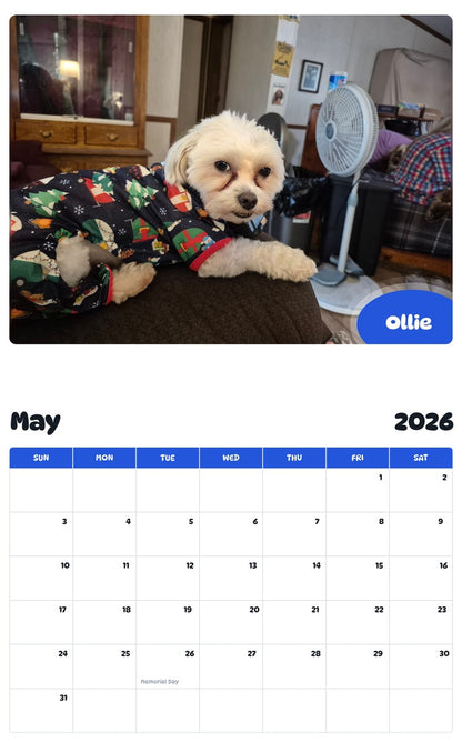 2026 - 2027 Ollie - Pawidols Pet Calendar