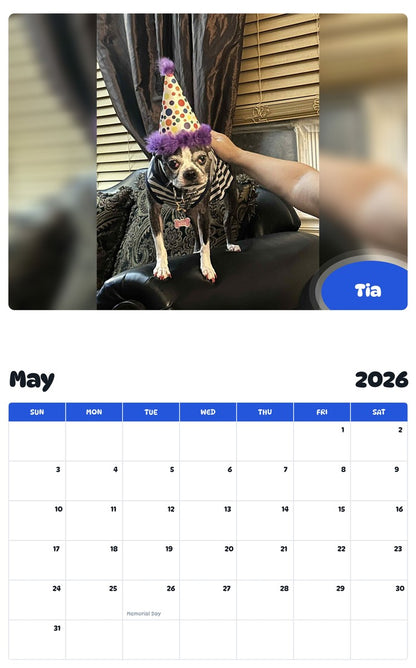 2026 - 2027 Tia - Pawidols Pet Calendar