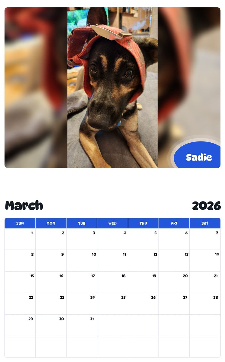 November 2025 - October 2026 Sadie - Pawidols Pet Calendar