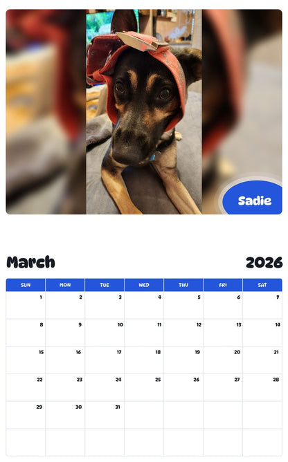 November 2025 - October 2026 Sadie - Pawidols Pet Calendar