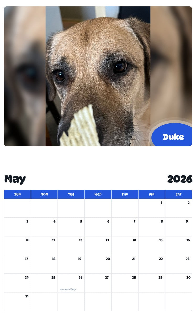 2026 - 2027 Duke - Pawidols Pet Calendar