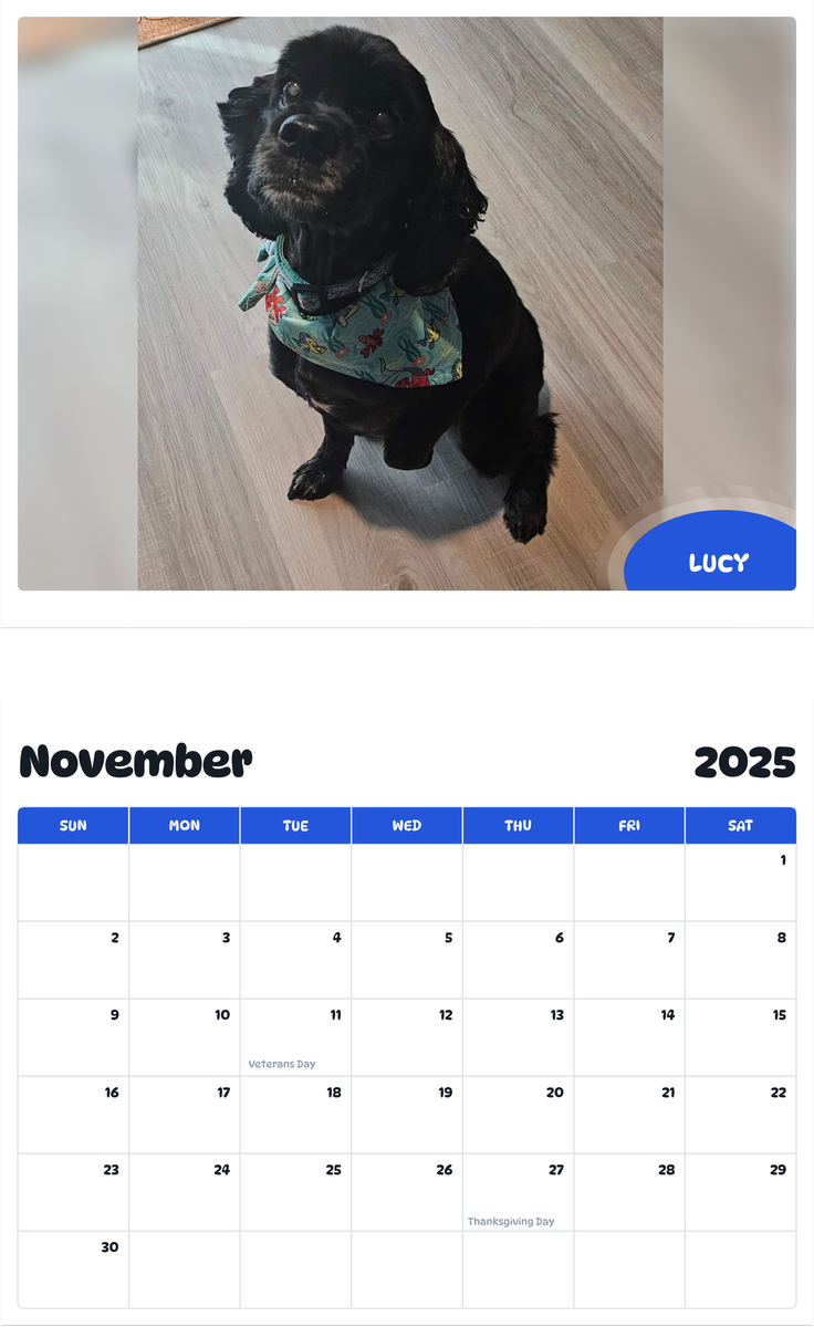 July 2025 - June 2026 Lucy - Pawidols Pet Calendar