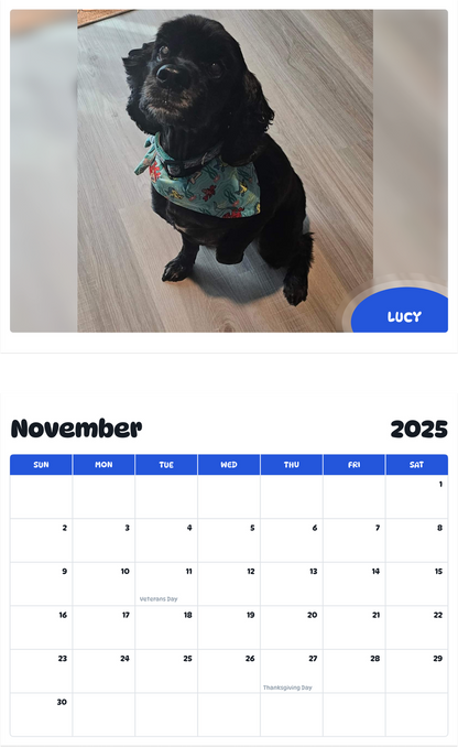 July 2025 - June 2026 Lucy - Pawidols Pet Calendar