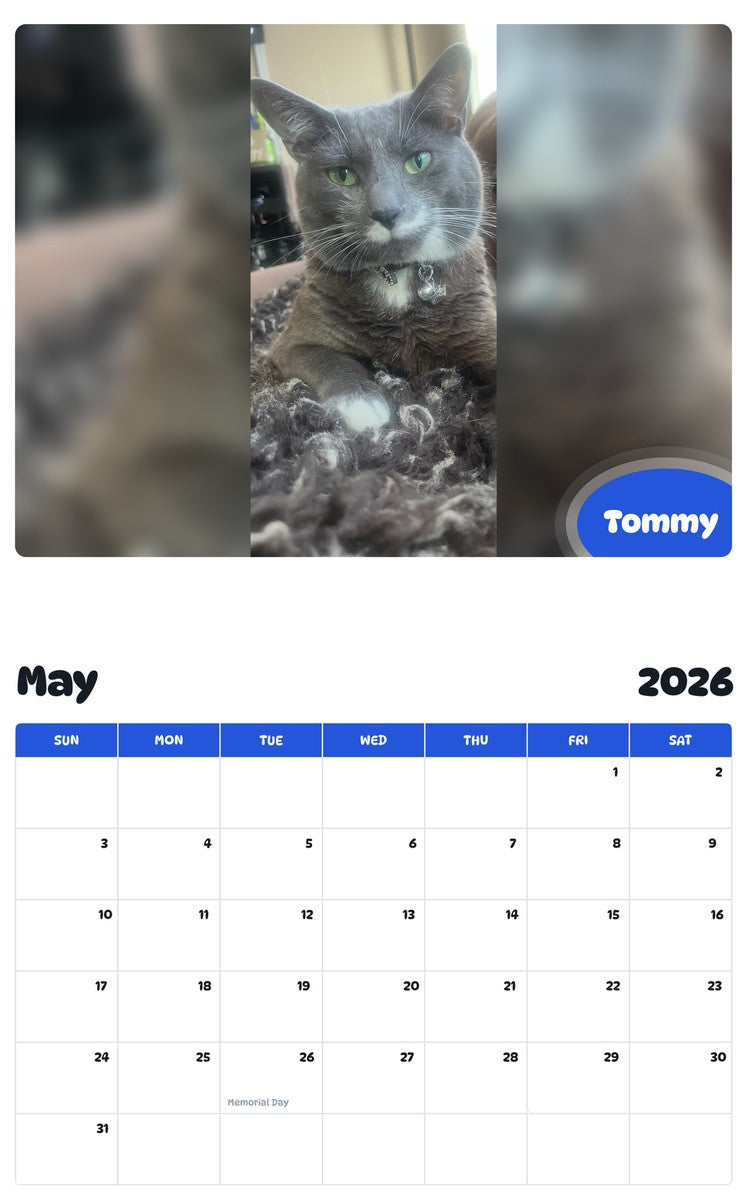 2026 - 2027 Tommy - Pawidols Pet Calendar