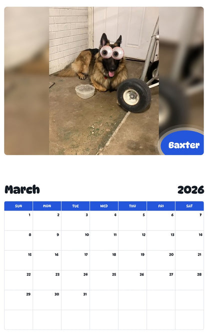 November 2025 - October 2026 Baxter - Pawidols Pet Calendar