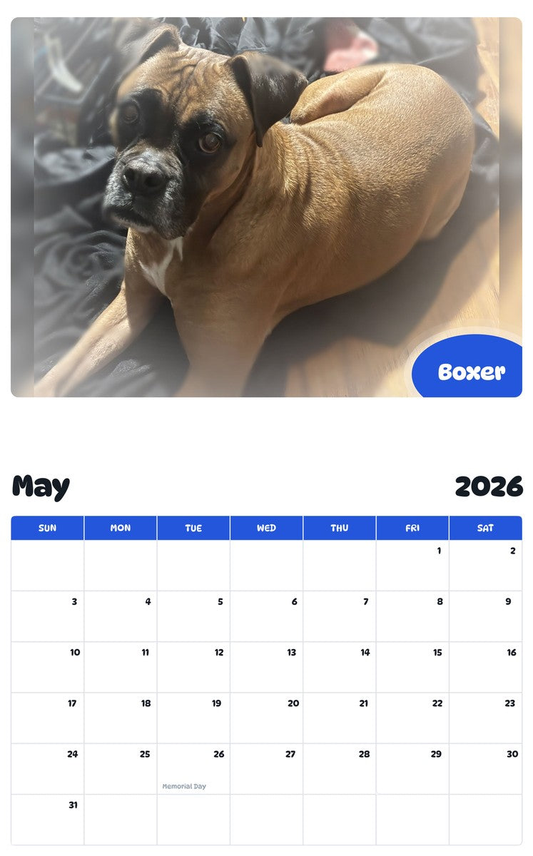 2026 - 2027 Boxer - Pawidols Pet Calendar
